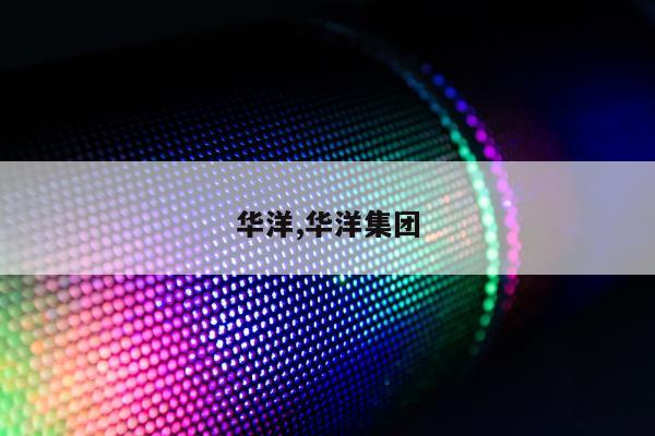 华洋,华洋集团