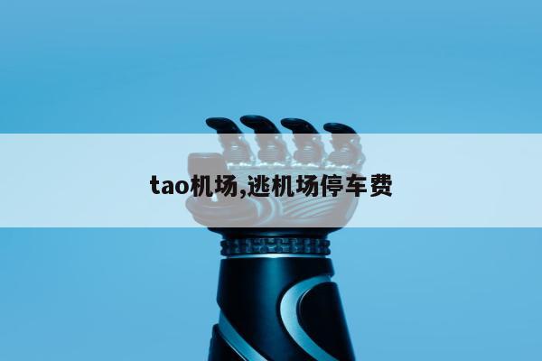 tao机场,逃机场停车费
