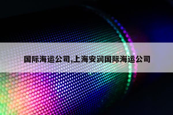 国际海运公司,上海安润国际海运公司