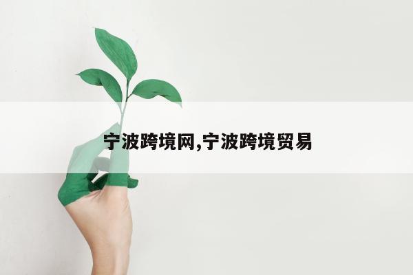 宁波跨境网,宁波跨境贸易