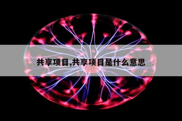 共享项目,共享项目是什么意思