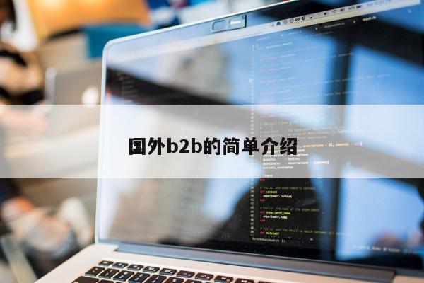 国外b2b的简单介绍