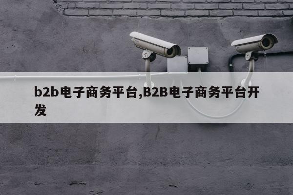 b2b电子商务平台,B2B电子商务平台开发