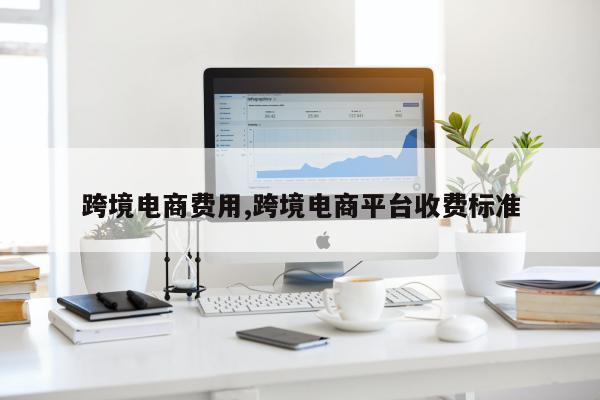 跨境电商费用,跨境电商平台收费标准