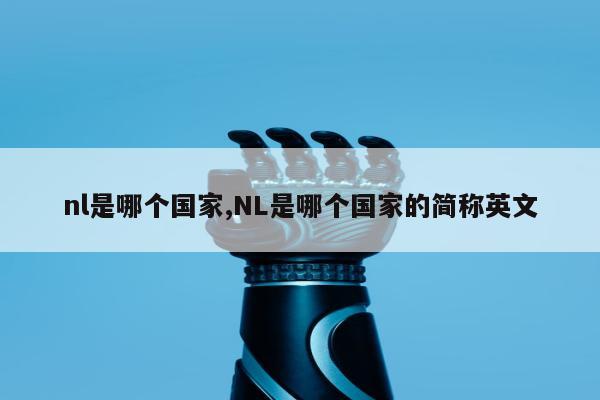 nl是哪个国家,NL是哪个国家的简称英文