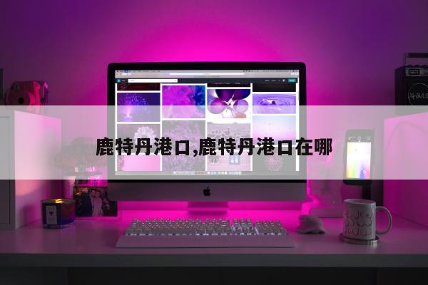 鹿特丹港口,鹿特丹港口在哪