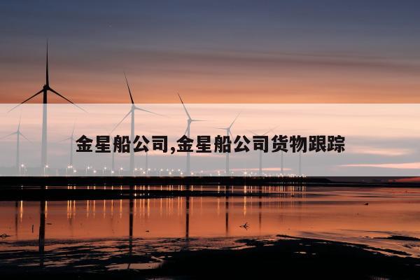 金星船公司,金星船公司货物跟踪