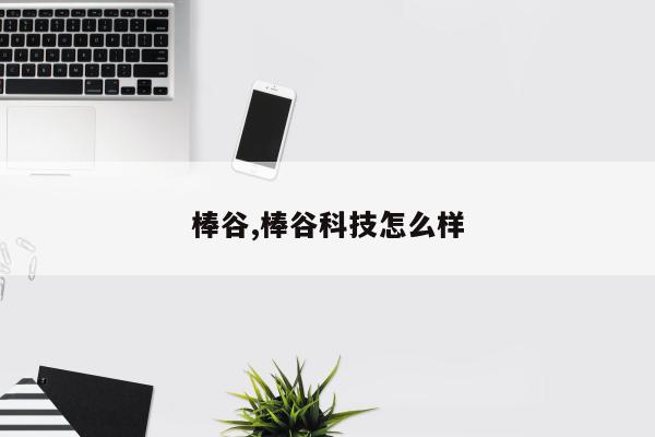 棒谷,棒谷科技怎么样
