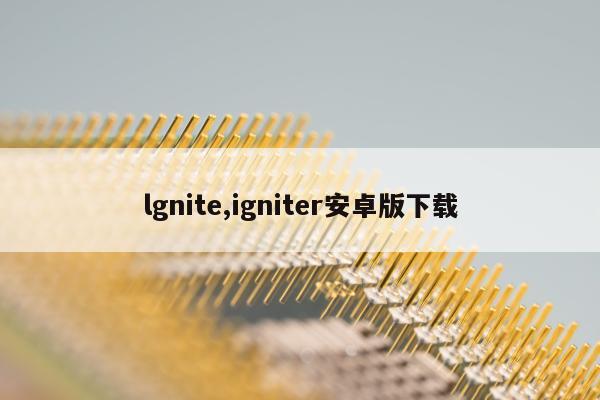 lgnite,igniter安卓版下载