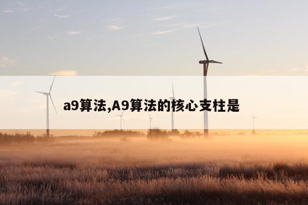 a9算法,A9算法的核心支柱是 