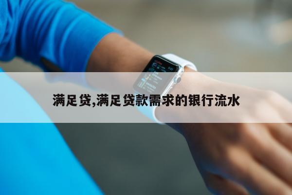 满足贷,满足贷款需求的银行流水