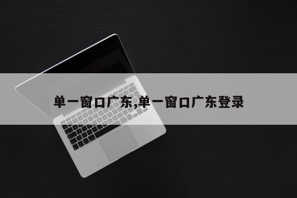 单一窗口广东,单一窗口广东登录