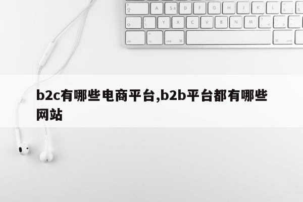b2c有哪些电商平台,b2b平台都有哪些网站