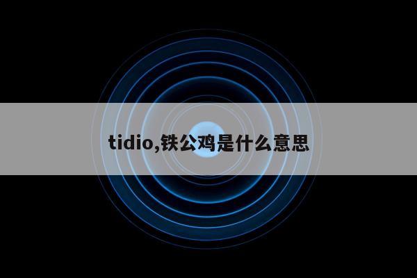 tidio,铁公鸡是什么意思