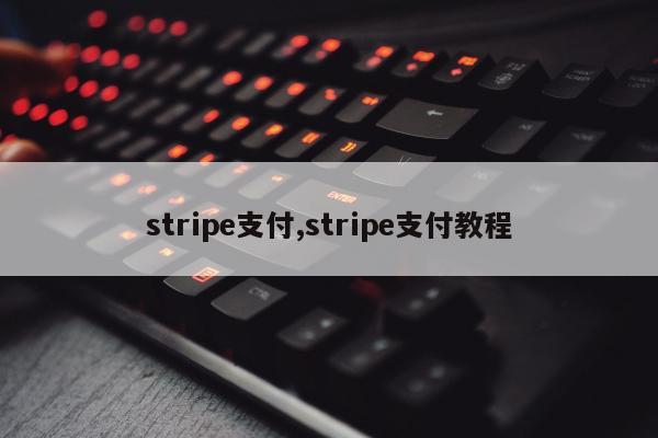 stripe支付,stripe支付教程