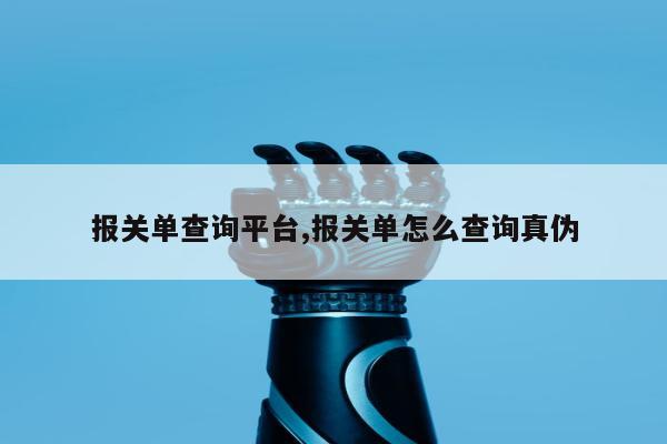 报关单查询平台,报关单怎么查询真伪