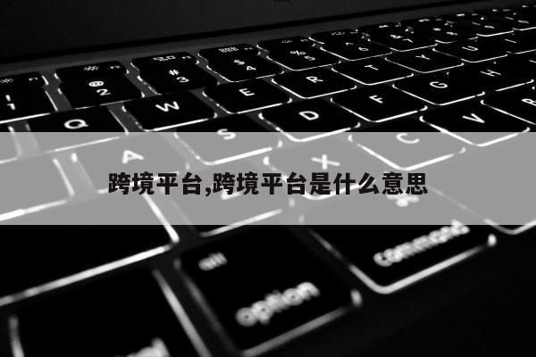 跨境平台,跨境平台是什么意思