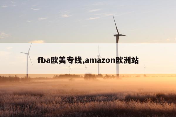 fba欧美专线,amazon欧洲站
