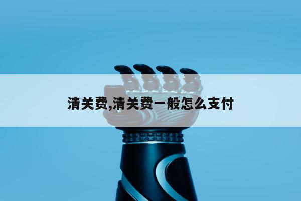 清关费,清关费一般怎么支付