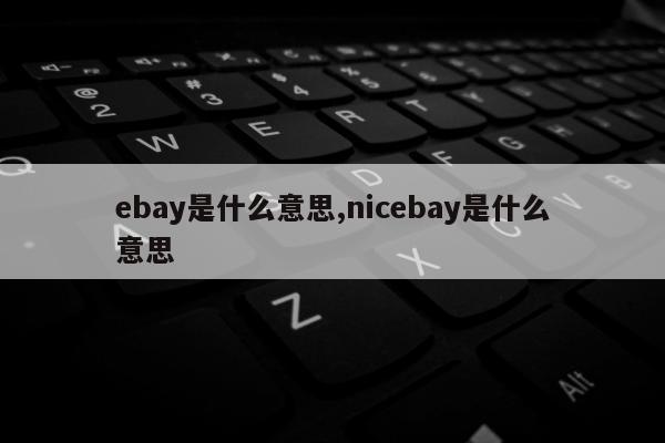 ebay是什么意思,nicebay是什么意思