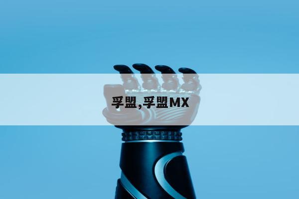 孚盟,孚盟MX