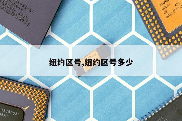 纽约区号,纽约区号多少