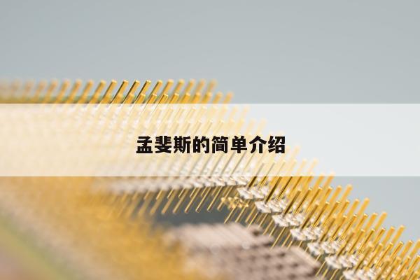 孟斐斯的简单介绍
